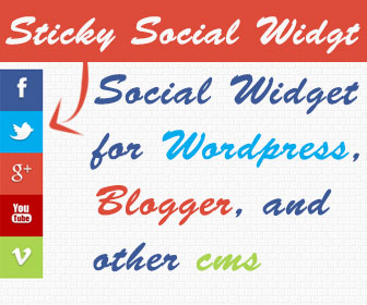 Social Widget for WordPress
